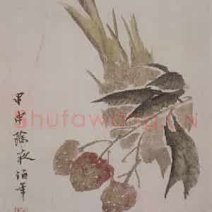 清代 任颐《任颐花果图册》国画花鸟作品图片鉴赏