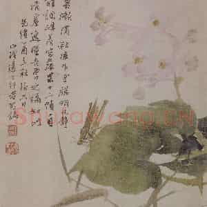 清代 任颐《任颐花果图册》国画花鸟作品图片鉴赏