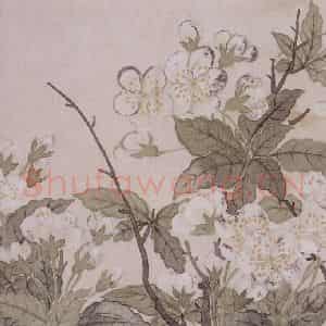 清代 董诰《董诰花卉图册》国画花鸟作品图片鉴赏