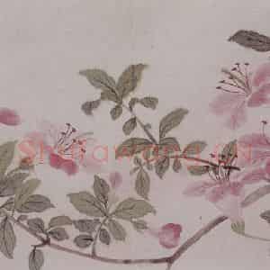 清代 董诰《董诰花卉图册》国画花鸟作品图片鉴赏