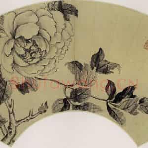 清代 蒋廷锡《牡丹》国画花鸟作品图片鉴赏