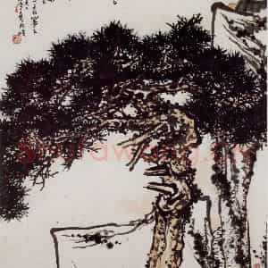 1960年 潘天寿《黄山松图轴》国画山水作品图片鉴赏