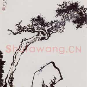 1960年 潘天寿《松石图轴》国画山水作品图片鉴赏