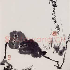 1960年代 潘天寿《睡鸟图轴》国画花鸟作品图片鉴赏