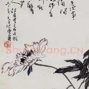 1962年 潘天寿《芍药图轴》国画花鸟作品图片鉴赏