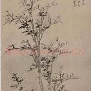元代 倪瓒《竹石乔柯图轴》国画花鸟作品图片鉴赏