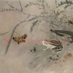 明代 郭诩《青蛙草蝶图册》国画花鸟作品图片鉴赏