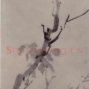 明代 唐寅《枯槎鸜谷鹆图轴》国画花鸟作品图片鉴赏
