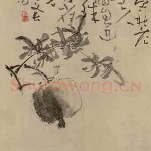 清代 黄慎《石榴图册》国画花鸟作品图片鉴赏