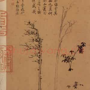 元代 倪瓒《书谱》国画山水作品图片鉴赏
