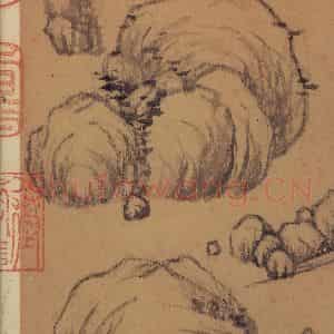 元代 倪瓒《书谱》国画山水作品图片鉴赏