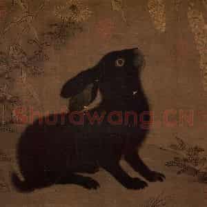 宋代 宋人《山花墨兔》国画花鸟作品图片鉴赏