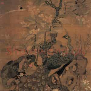宋代 崔白《画枇杷孔雀》国画花鸟作品图片鉴赏