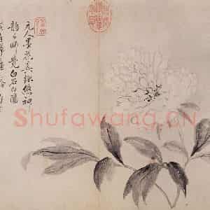 清代 恽寿平《写生墨妙》国画花鸟作品图片鉴赏