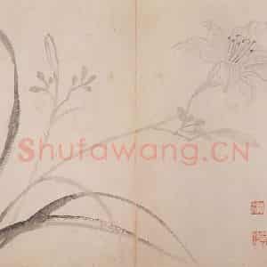 清代 恽寿平《写生墨妙》国画花鸟作品图片鉴赏