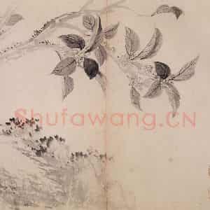 清代 恽寿平《写生墨妙》国画花鸟作品图片鉴赏