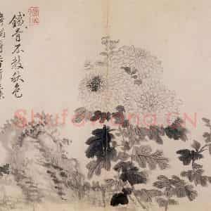 清代 恽寿平《写生墨妙》国画花鸟作品图片鉴赏