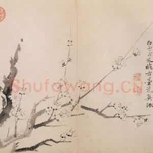 清代 恽寿平《写生墨妙》国画花鸟作品图片鉴赏