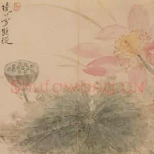 清代 恽寿平《花卉》国画花鸟作品图片鉴赏