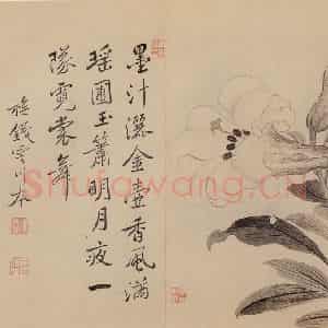 清代 恽寿平《花卉》国画花鸟作品图片鉴赏