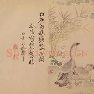 清代 恽寿平《花卉》国画花鸟作品图片鉴赏