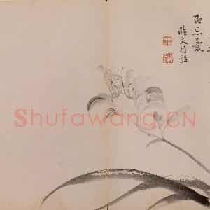 清代 恽寿平《墨花》国画花鸟作品图片鉴赏