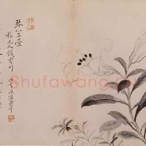 清代 恽寿平《墨花》国画花鸟作品图片鉴赏