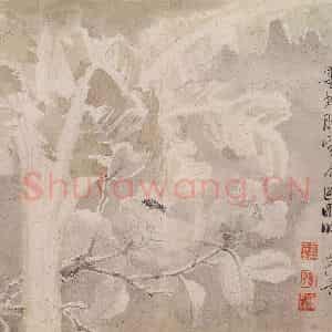 清代 恽寿平《写生花卉》国画花鸟作品图片鉴赏