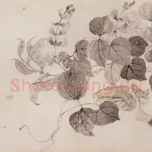 清代 恽寿平《写生花卉》国画花鸟作品图片鉴赏
