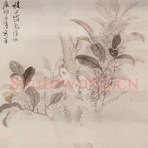 清代 恽寿平《写生花卉》国画花鸟作品图片鉴赏