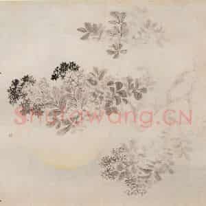 清代 恽寿平《写生花卉》国画花鸟作品图片鉴赏