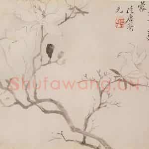 清代 恽寿平《写生花卉》国画花鸟作品图片鉴赏