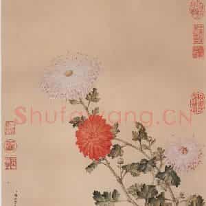 清代 郎世宁《画洋菊》国画花鸟作品图片鉴赏