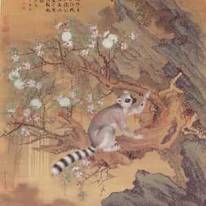 清代 郎世宁《画交趾果然》国画花鸟作品图片鉴赏