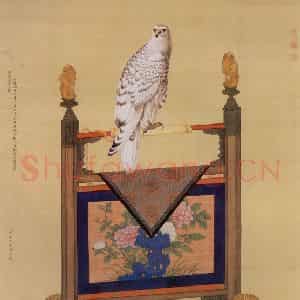 清代 贺清泰《画白海青》国画花鸟作品图片鉴赏