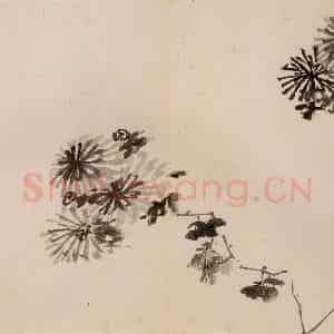 清代 传綮《写生》国画花鸟作品图片鉴赏