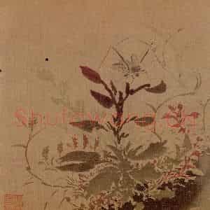 明代 孙龙《写生》国画花鸟作品图片鉴赏