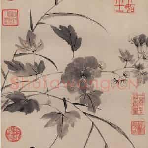 明代 唐寅《临水芙蓉图》国画花鸟作品图片鉴赏