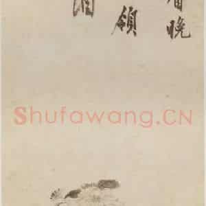 明代 沈周《墨菊》国画花鸟作品图片鉴赏
