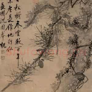 明代 沈周《古松图》国画山水作品图片鉴赏