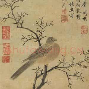 明代 沈周《鸠声唤雨》国画花鸟作品图片鉴赏