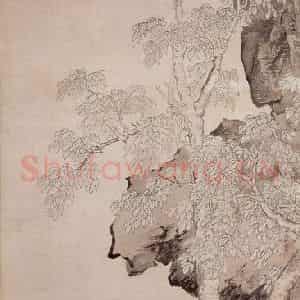 明代 仇英《桐阴清话》国画综合作品图片鉴赏