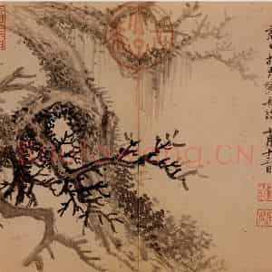 清代 王翚《古柏》国画山水作品图片鉴赏