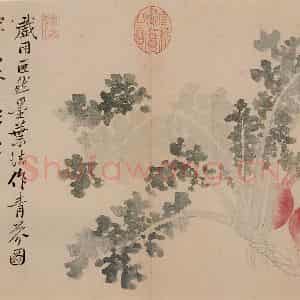清朝 恽寿平《写生》国画花鸟作品图片鉴赏