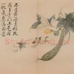 清朝 恽寿平《写生》国画花鸟作品图片鉴赏