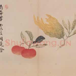 清朝 恽寿平《写生》国画花鸟作品图片鉴赏