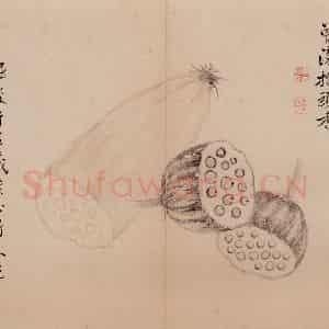清朝 恽寿平《写生》国画花鸟作品图片鉴赏