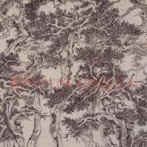 明代 明人《画七星石桧图》国画山水墨画作品图片鉴赏