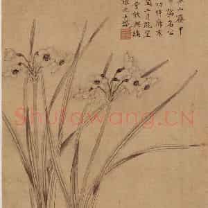 明代 张元士《画水仙》国画花鸟作品图片鉴赏