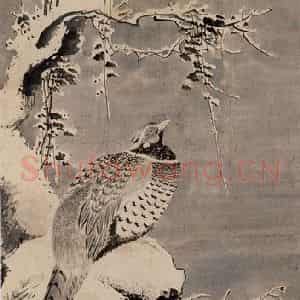 明代 吕纪《寒雪山鸡图》国画花鸟作品图片鉴赏